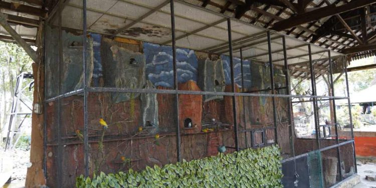 Koleksi hewan di Taman edukasi Satwa Jahri Saleh. (foto : shn/seputaran)