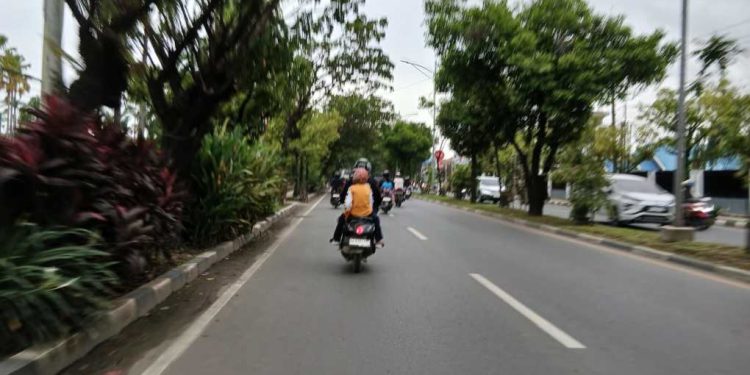 Pohon di Banjarmasin yang perlu dicek rutin untuk mengetahui masih subur atau sudah lapuk. (foto : shn/seputaran)