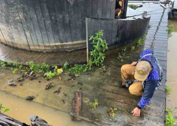 Galeri Terapung Sasirangan Akan Diperbaiki dan Bakal Dipindah
