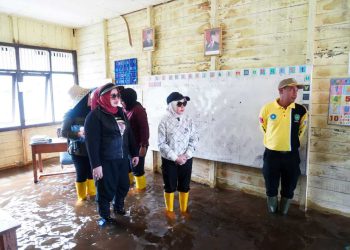 TP PKK dan GOW Tapin Kunjungi Wilayah Terdampak Banjir di Desa Marampiau