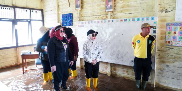 Ketua TP PKK Tapin Hj Faridah bersama Ketua GOW Tapin Hj Elya Hartati turun langsung menyambangi dan memantau wilayah terdampak banjir. (foto : istimewa)
