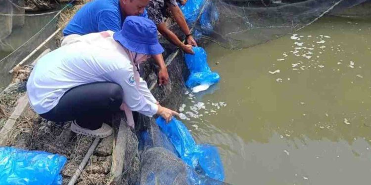 DKP3 Banjarmasin saat tebar benih ikan di kolam budidaya ikan. (foto : shn/seputaran)