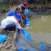Produksi Perikanan Budidaya dan Tangkap Meningkat