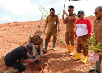 Tinjau TPA Basirih Sekaligus Tanam Pohon di Gunungan Sampah