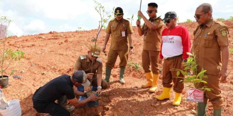 Walikota Banjarmasin HM Yamin saat melakukan penanaman pohon di TPA Basirih. (foto : shn/seputaran)