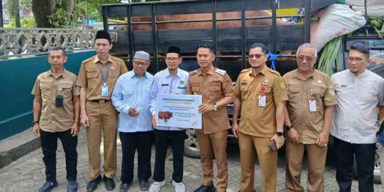 Penyerahan sapi bantuan Presiden kepada pihak Masjid Agung Miftahul Ihsan. (foto : shn/seputaran)