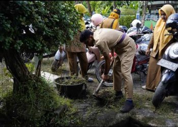 Hantavirus Mengintai Indonesia, Dinkes Banjarmasin Imbau Warga Waspada