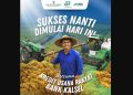 KUR Bank Kalsel Tawarkan Plafon Pinjaman Hingga Rp 500 Juta
