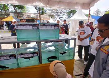 Lomba Ikan Hias Walikota Cup 2026, Meriahkan HUT ke-500 Banjarmasin
