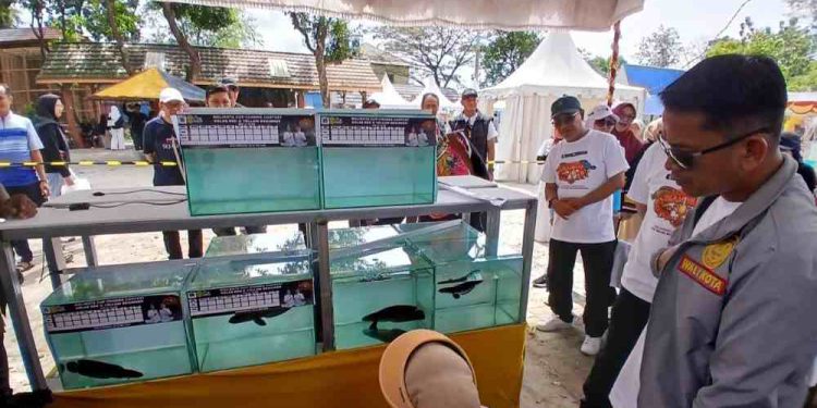 Walikota Banjarmasin HM Yamin saat melihat pelaksanaan kontes ikan hias di Taman Edukasi Satwa Jahri Saleh. (foto : shn/seputaran)