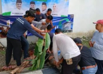 Bank Kalsel dan Pressroom DPRD Kalsel Sembelih Dua Sapi Kurban