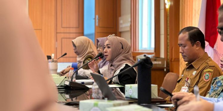 Ketua TP Posyandu Kalsel Hj Fathul Janah Muhidin berikan arahan saat rapat persiapan Rancangan Pergub tentang Penyelenggaraan Posyandu Wasaka 6 SPM. (foto : adpim kalsel)