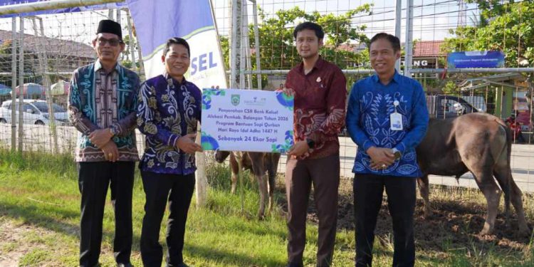 Penyerahan bantuan sapi kurban Bank Kalsel cabang Paringin kepada Bupati Balangan Abdul Hadi. (foto : istimewa)