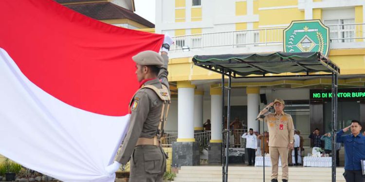 Bupati Tapin H Yamani bertindak sebagai inspektur upacara peringatan Harganas. (foto : istimewa)