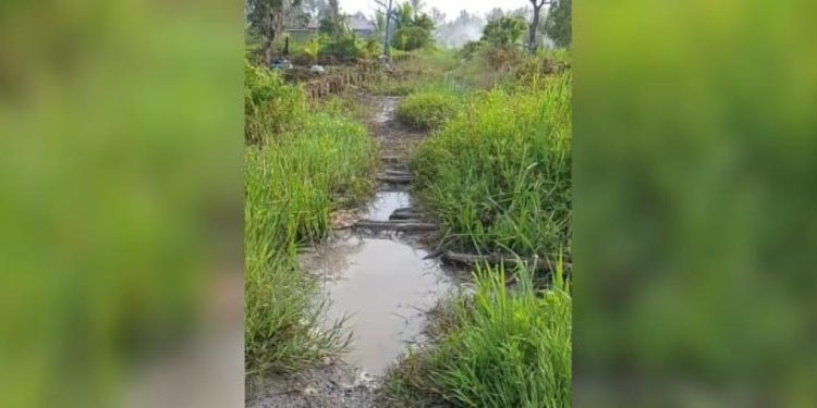 Jalan Simpang Sungai Jelai yang akan diperbaiki hingga terhubung ke kawasan Kuin Kacil. (foto : shn/seputaran)