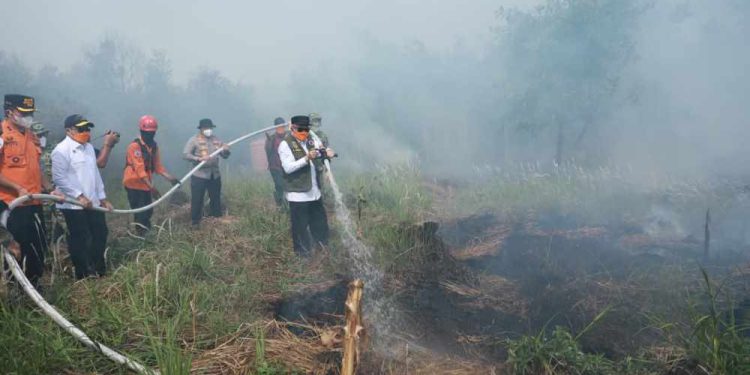 Gubernur Kalsel H Muhidin saat memadamkan Karhutla di kawasan Guntung Damar, Banjarbaru. (foto : adpim kalsel)