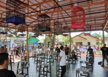 900 Peserta Meriahkan Pameran dan Lomba Burung Berkicau Wali Kota Cup 2026