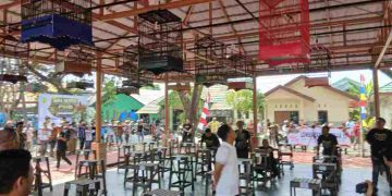900 Peserta Meriahkan Pameran dan Lomba Burung Berkicau Wali Kota Cup 2026