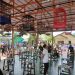 900 Peserta Meriahkan Pameran dan Lomba Burung Berkicau Wali Kota Cup 2026