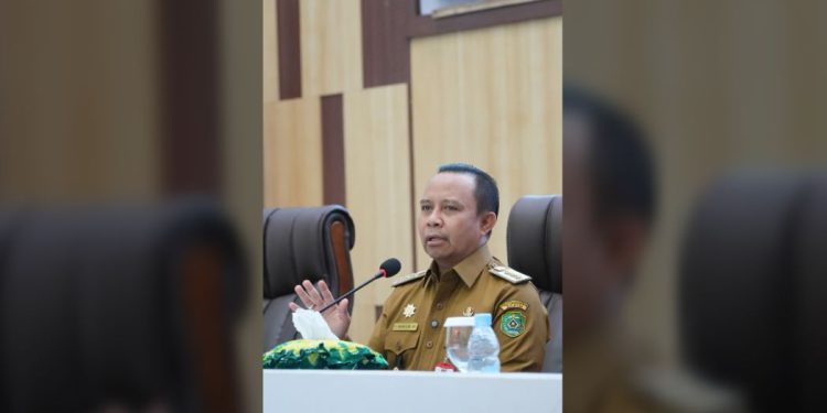 Bupati Tapin H Yamani. (foto : istimewa)