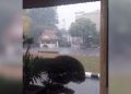 Sekian Lama Diselimuti Kabut Asap, Banjarmasin dan Batola Akhirnya Diguyur Hujan