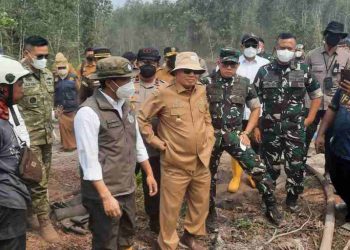 Menhut Raja Antoni Turun Pastikan Penanganan Karhutla di Kalsel Berjalan Maksimal