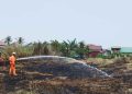 Kebakaran Lahan di Banjarmasin Capai 71 Kejadian