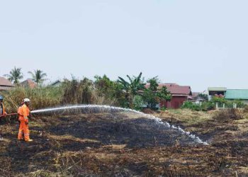 Kebakaran Lahan di Banjarmasin Capai 71 Kejadian