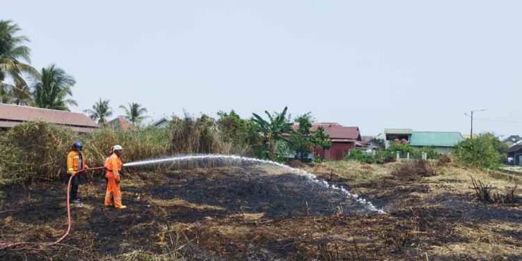 Petugas BPBD bersama Disdamkarmat Banjarmasin saat melakukan pemadaman lahan yang terbakar. (foto : shn/seputaran)