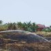 Kebakaran Lahan di Banjarmasin Capai 71 Kejadian