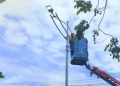 Tagihan Capai Rp 1,8 Miliar Perbulan, Dishub Banjarmasin Ganti PJU Konvensional ke LED