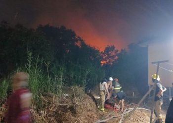 Karthutla Mengamuk, Ancam Komplek Perumahan di Kawasan Handil Bakti