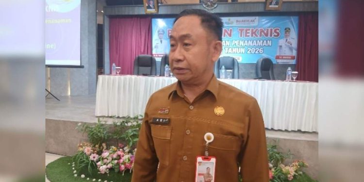 Kepala DPMPTSP Banjarmasin Ari Yani. (foto : shn/seputaran)